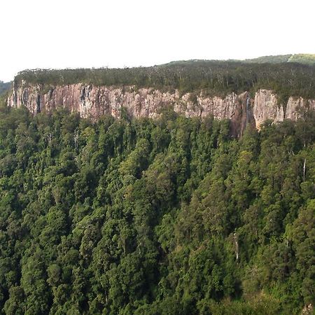 הוילה Springbrook Lyrebird Retreat מראה חיצוני תמונה