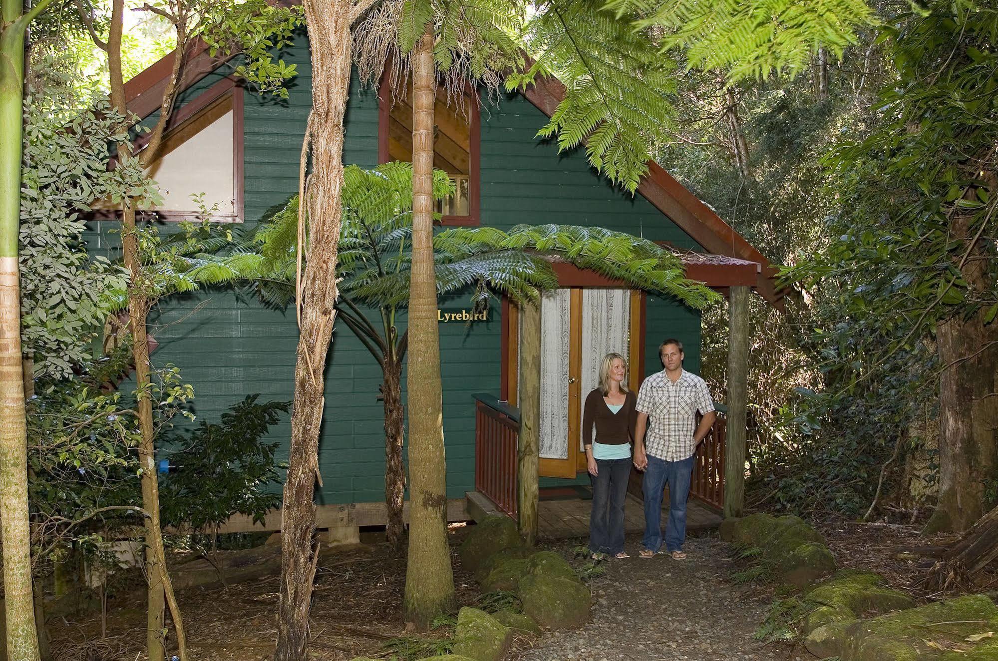 הוילה Springbrook Lyrebird Retreat מראה חיצוני תמונה