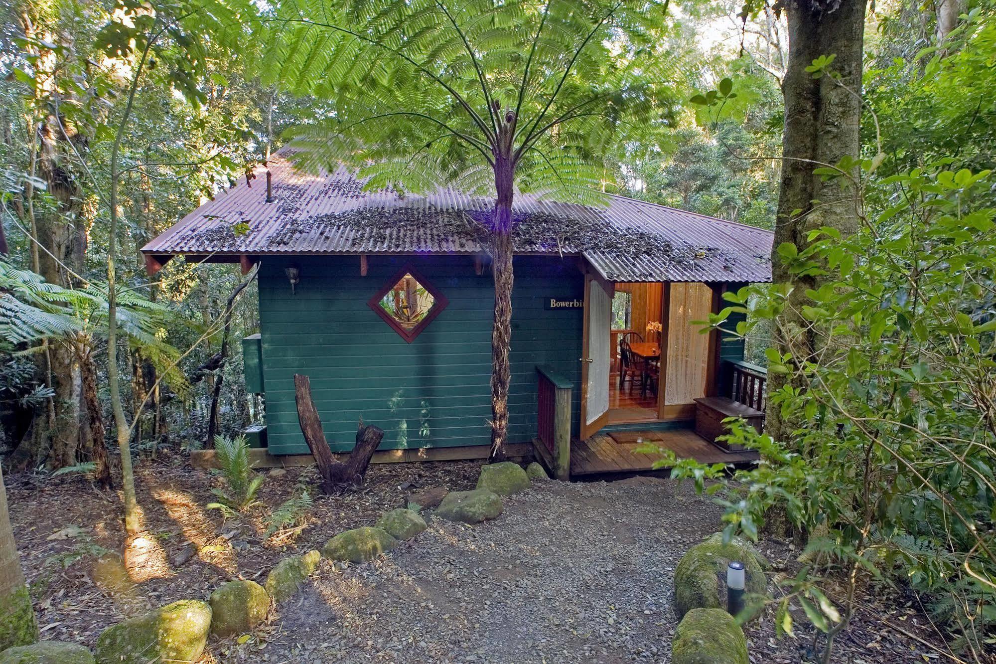 הוילה Springbrook Lyrebird Retreat מראה חיצוני תמונה