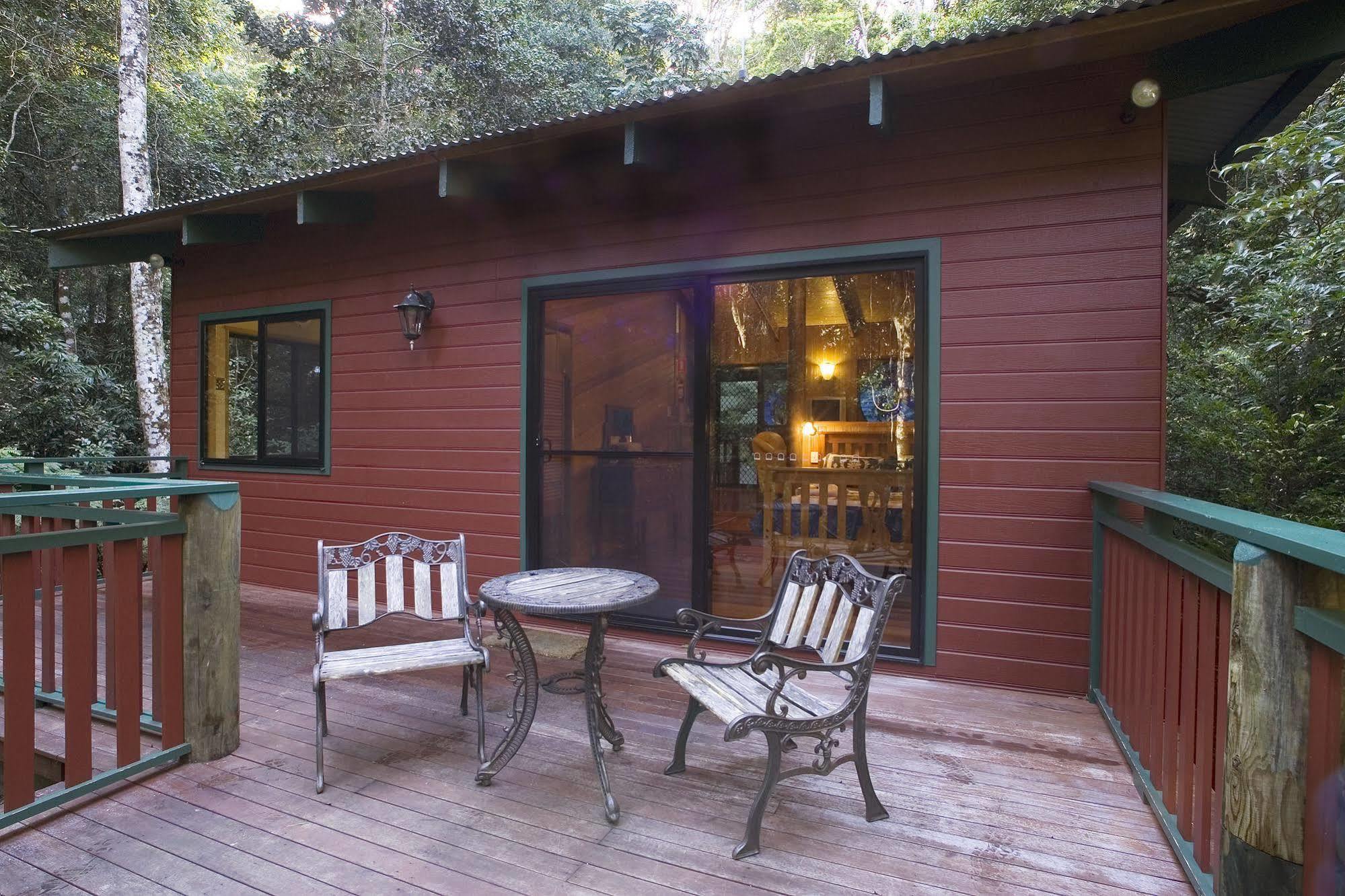 הוילה Springbrook Lyrebird Retreat מראה חיצוני תמונה