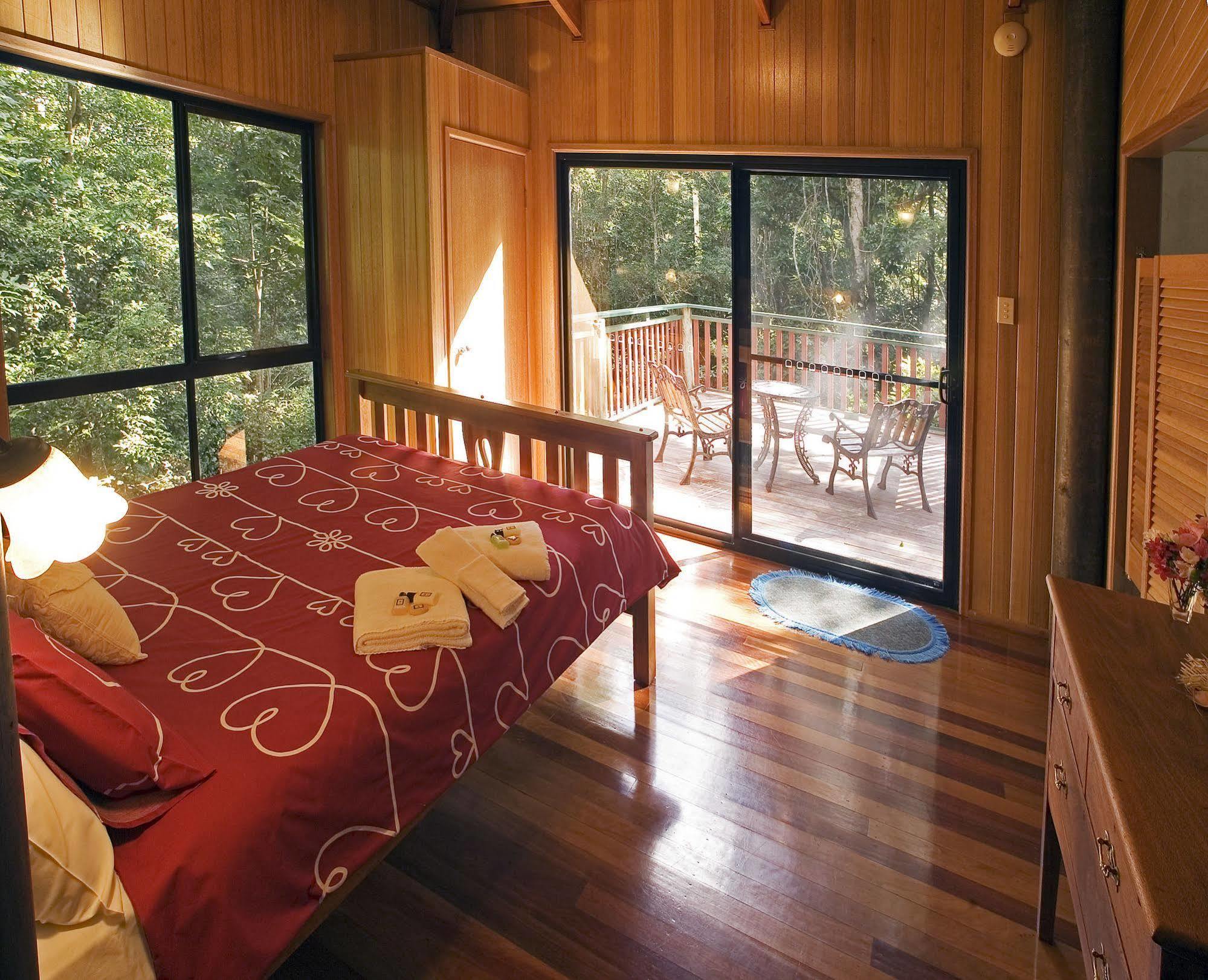 הוילה Springbrook Lyrebird Retreat מראה חיצוני תמונה