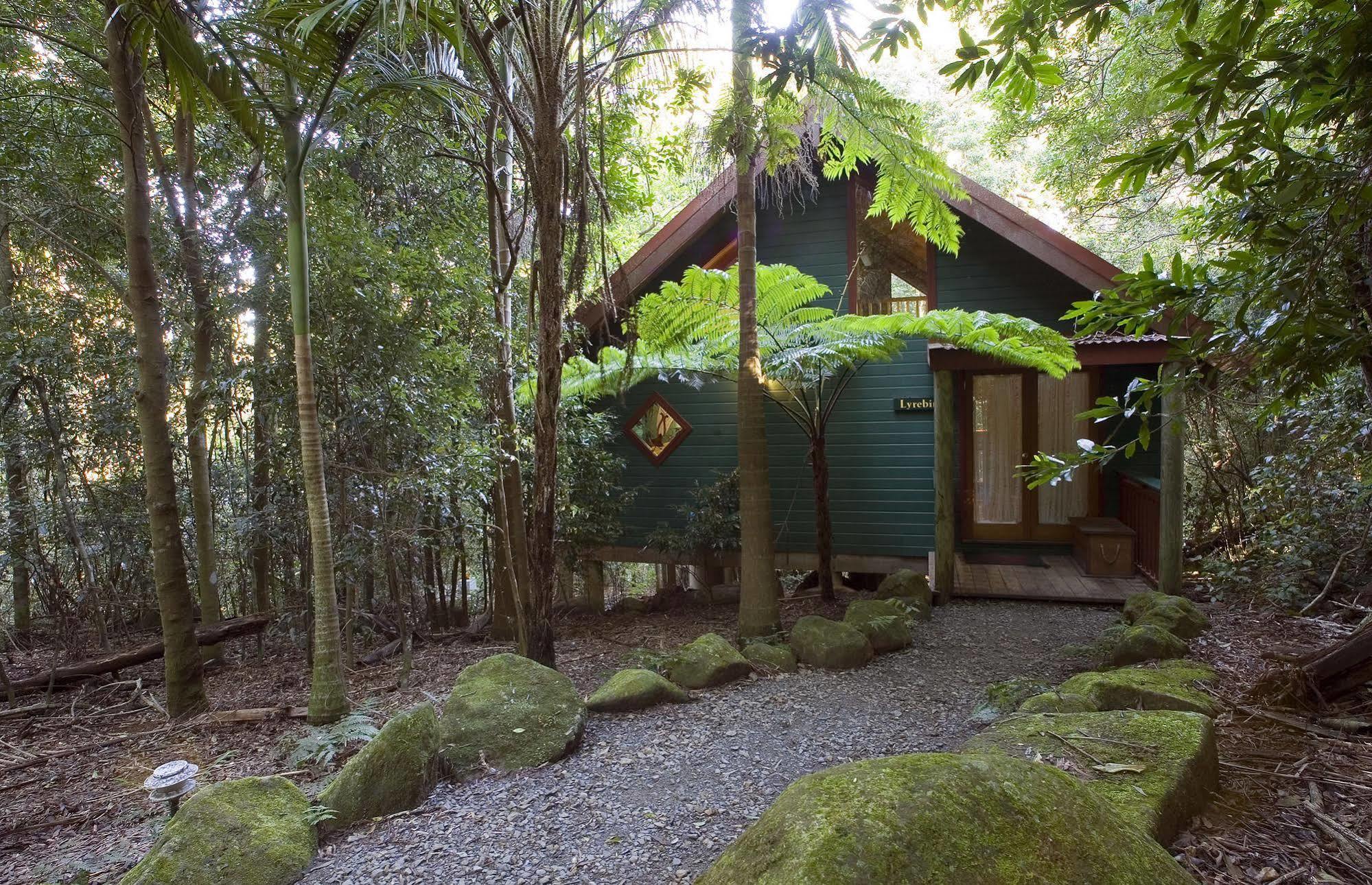 הוילה Springbrook Lyrebird Retreat מראה חיצוני תמונה