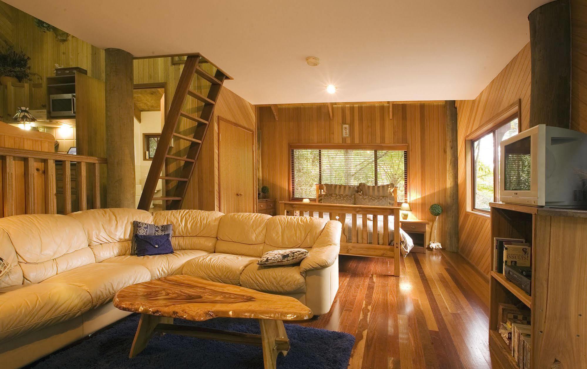 הוילה Springbrook Lyrebird Retreat מראה חיצוני תמונה