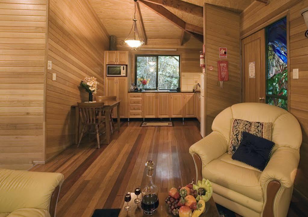 הוילה Springbrook Lyrebird Retreat מראה חיצוני תמונה
