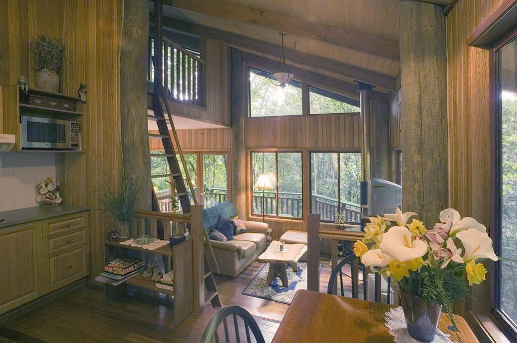 הוילה Springbrook Lyrebird Retreat מראה חיצוני תמונה